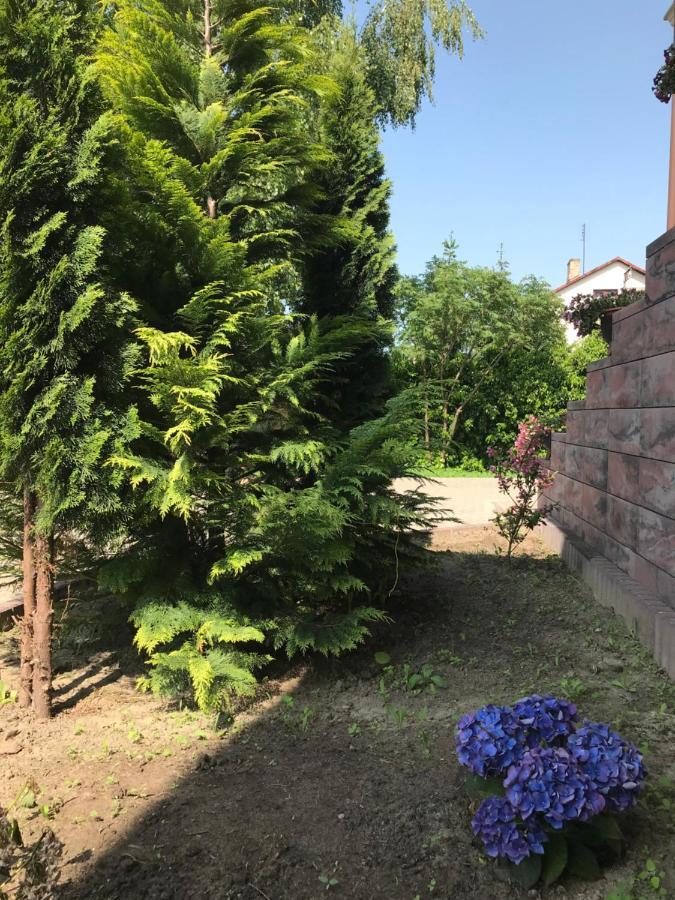 Noclegi Viva Mszczonów エクステリア 写真